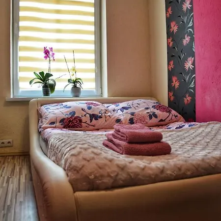 Apartament Miedzy Mostami 아파트 *